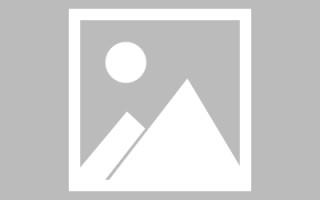 泉州网页设计英文默认字体（网页设置英文转换中文）